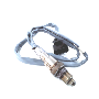 Oxygen Sensor (Rear)